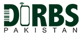 DDRBS